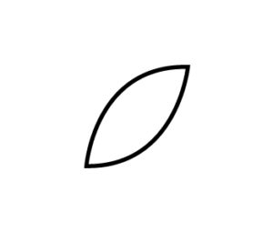 Picture of the simple leaf shape created by the pen tool